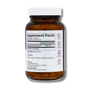 No Guts, No Glory Bundle